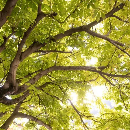 Hotel-restaurant Eyholz Hotel Viège