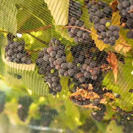 Hotel-restaurant Eyholz 3*