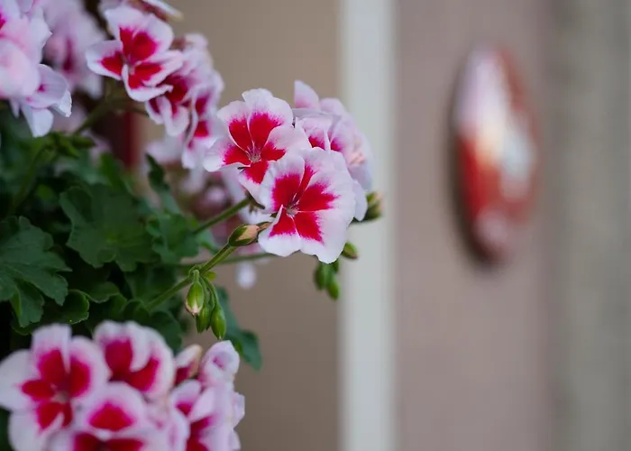 Hotel-restaurant Eyholz Hotel Visp