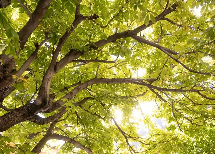 Hotel-restaurant Eyholz Hotel Visp