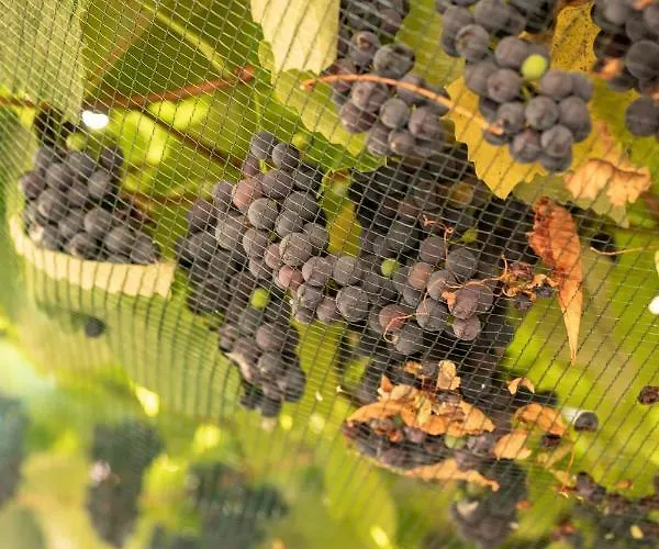 Hotel-restaurant Eyholz 3*